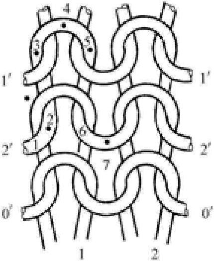 纬编针织物线圈结构
